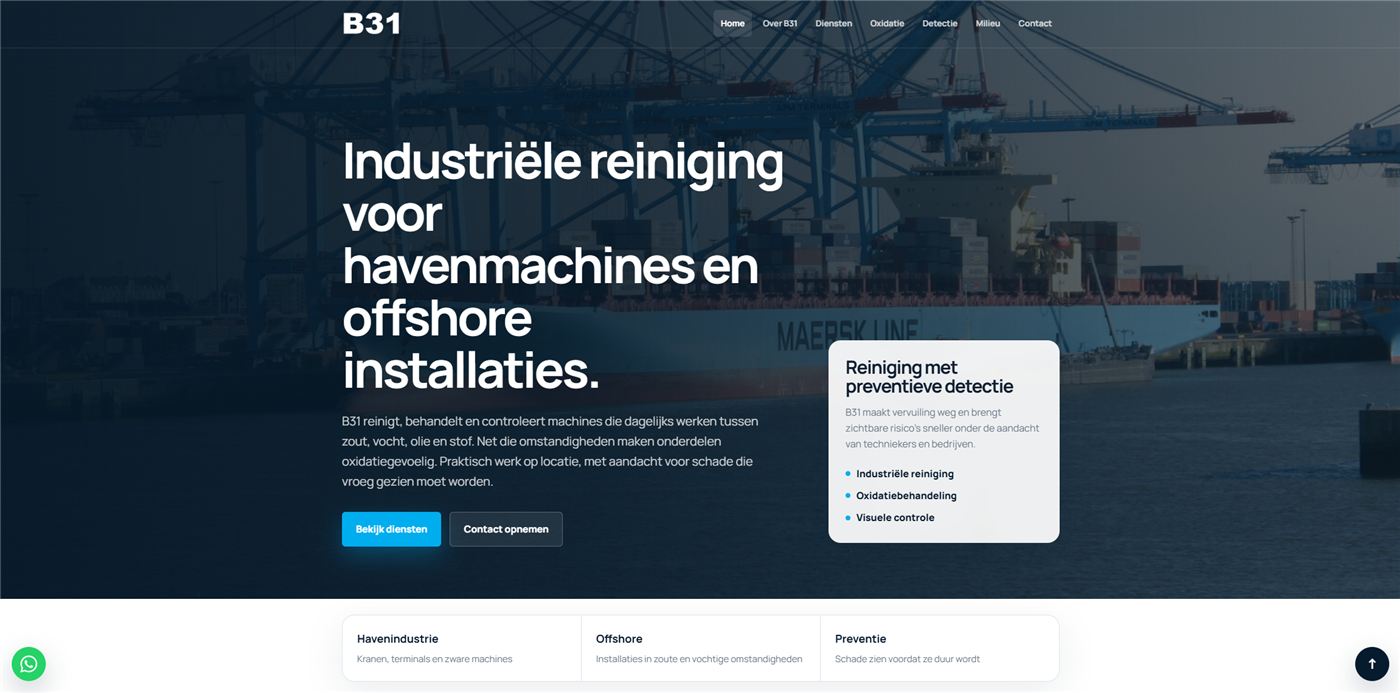 Website van industriële reiniging B31